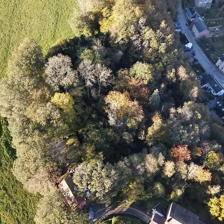 Douillets A L'oree Des Bois. *