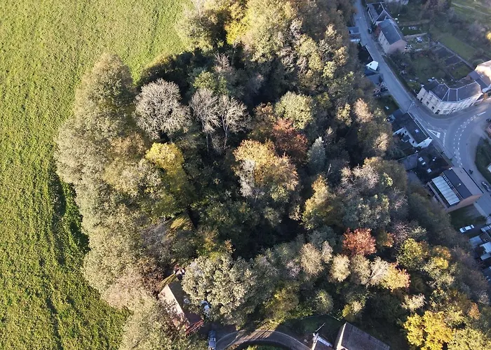 Douillets à L’orée Des Bois. *