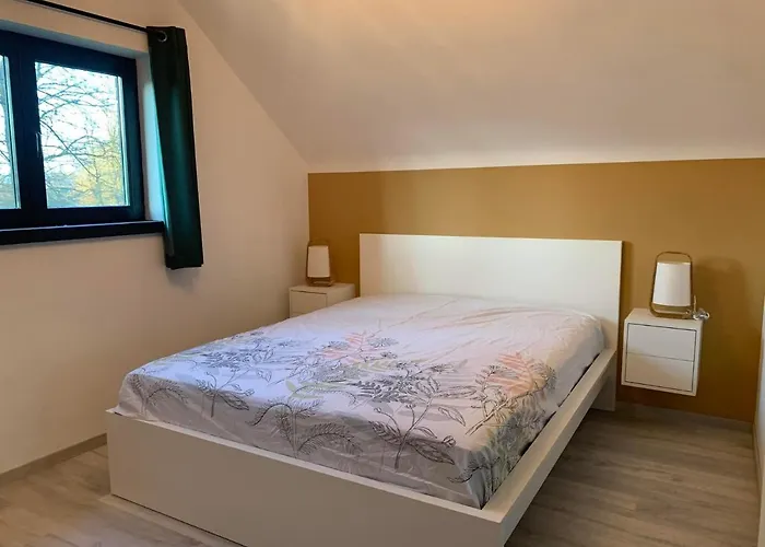 Douillets à L’orée Des Bois. Houyet